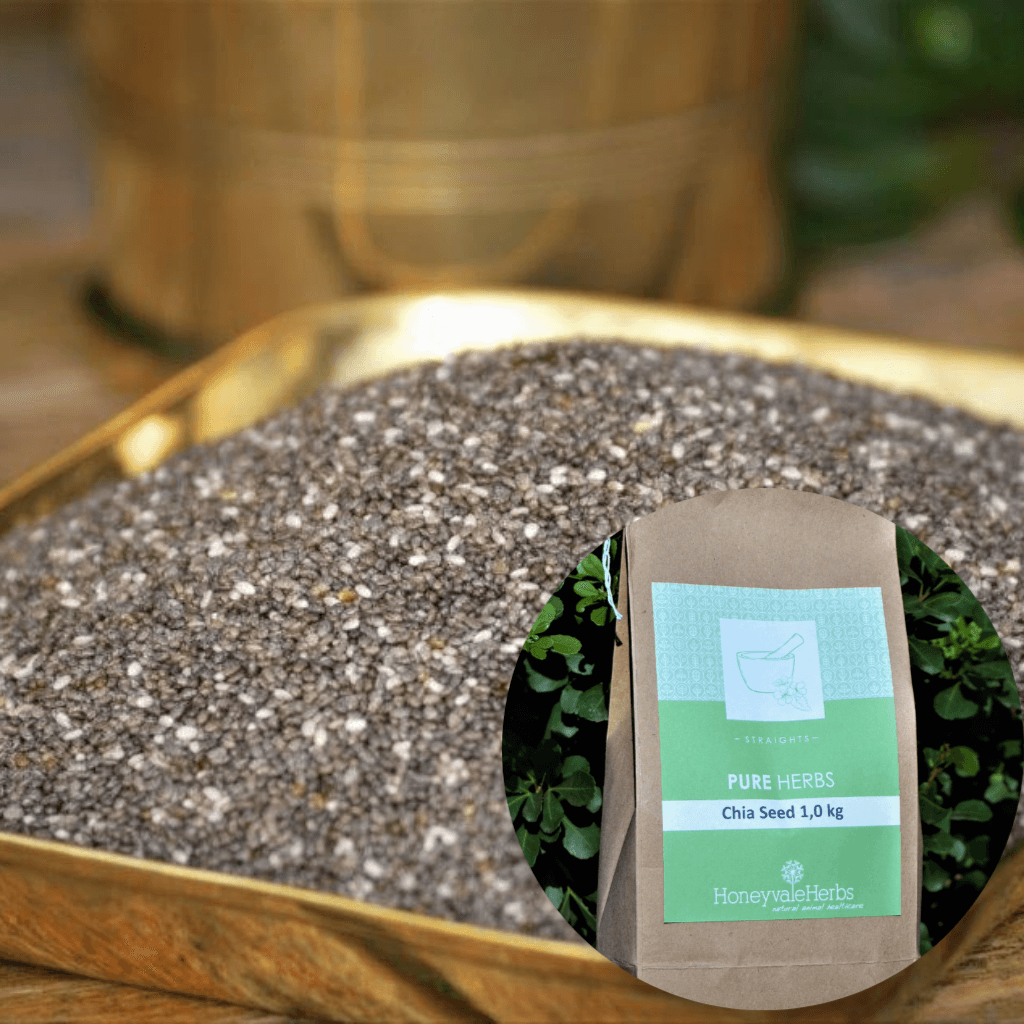 Chia Seed