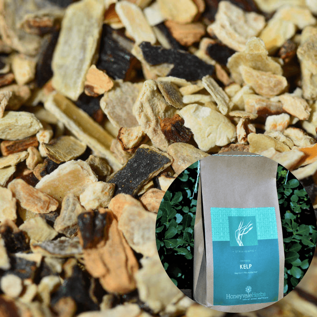 Kelp Granules