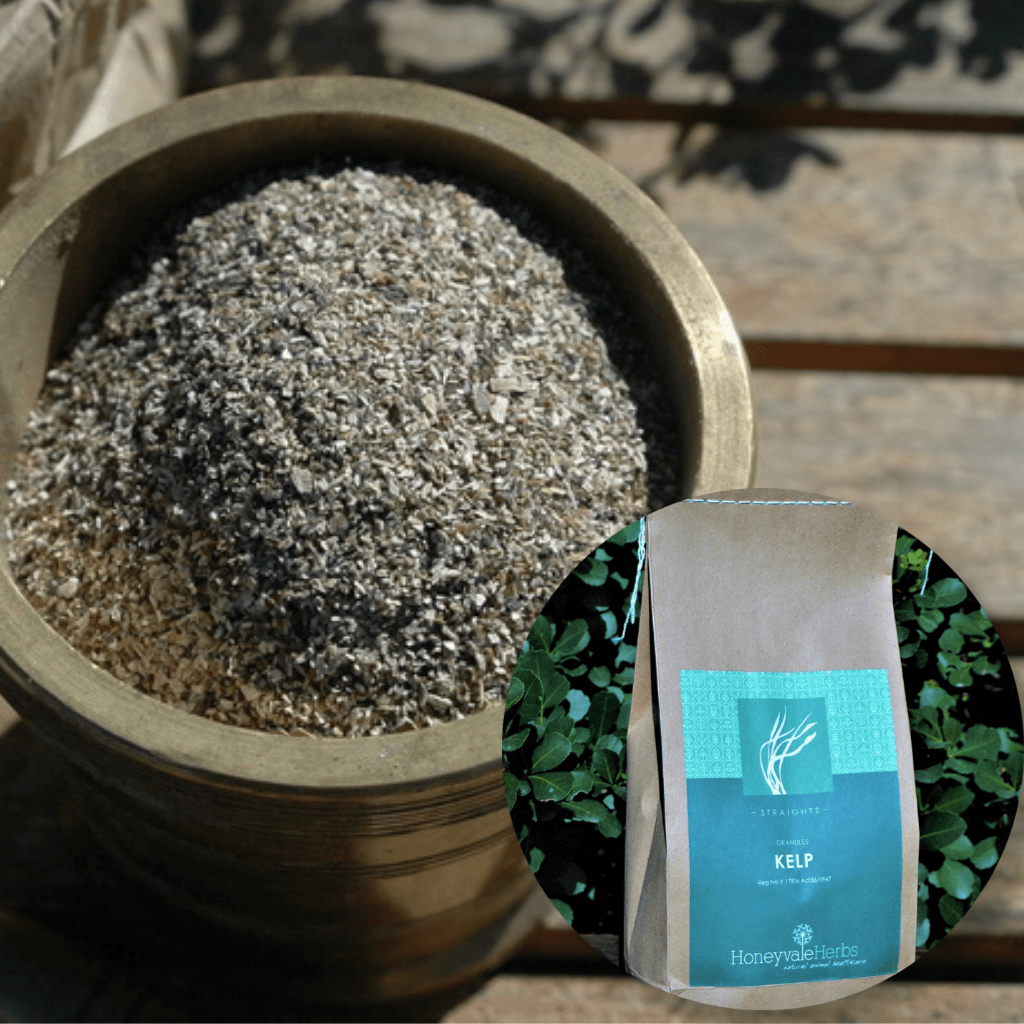 Kelp Powder