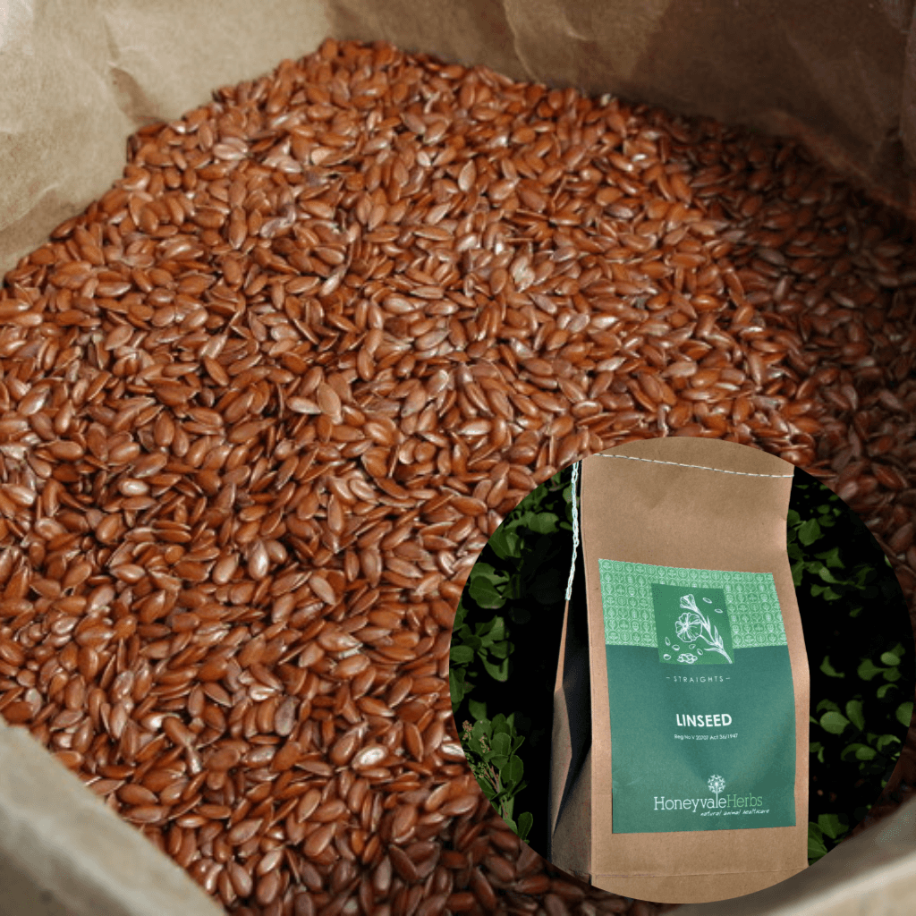 Linseed