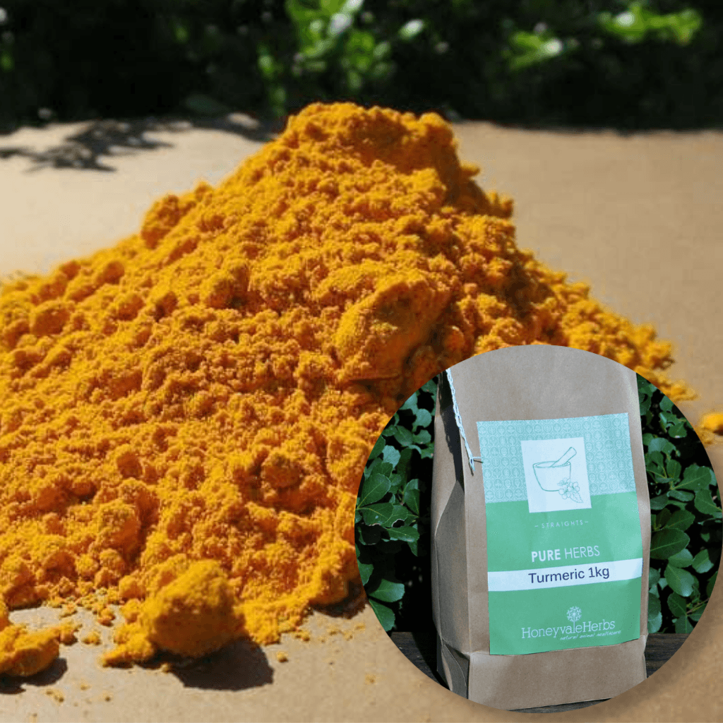 Turmeric Powder